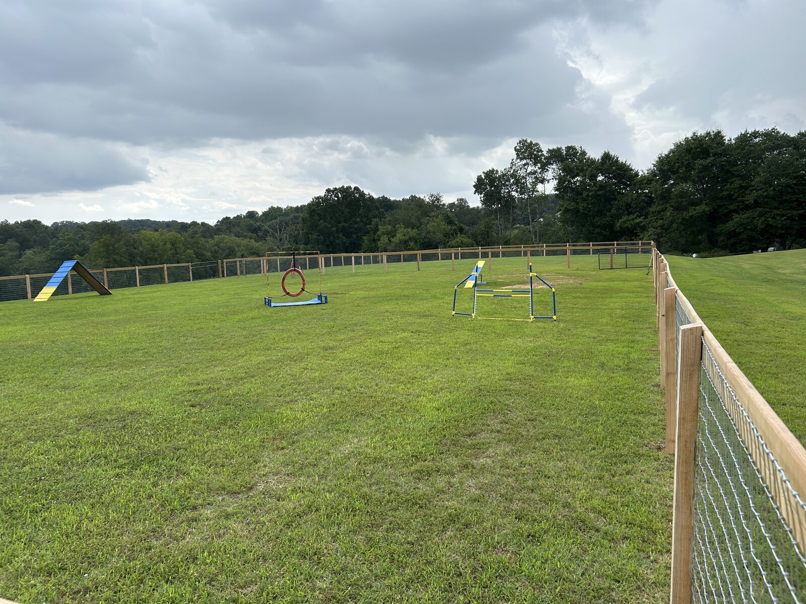 Agility equipment including tire jump and A-frame overlooking the tree line