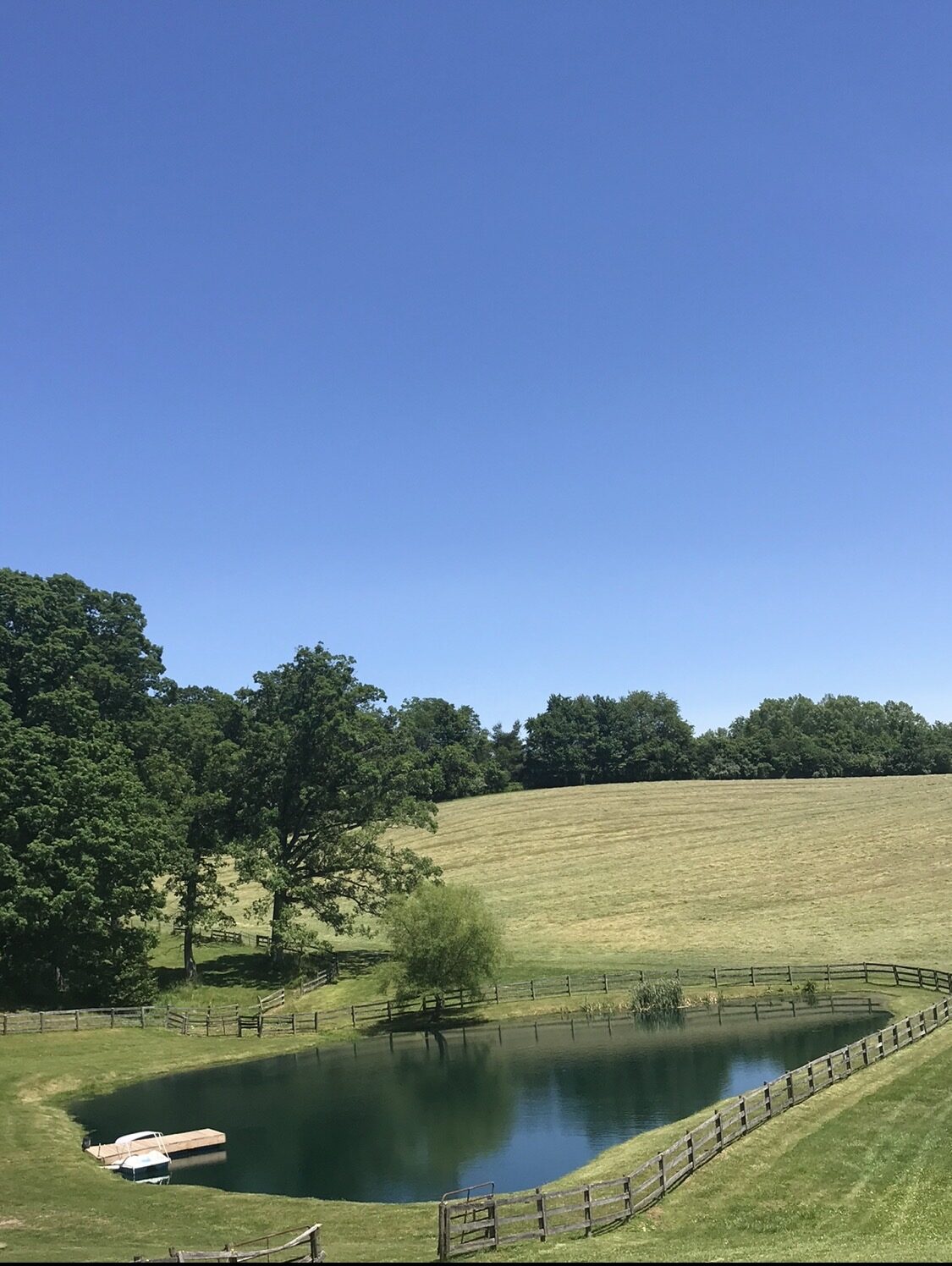 View of the pond that gives Pond View Kennels its name