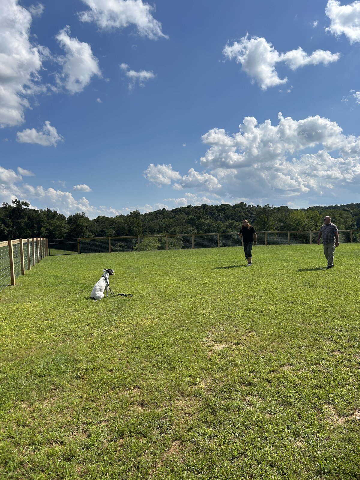 Trainers and dog near the training area fence with the wooded tree line behind