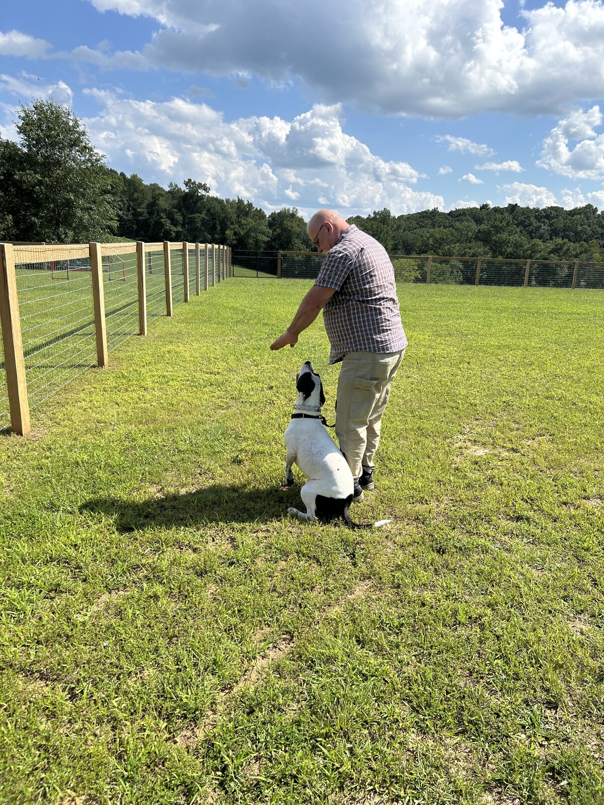 Trainers walking a dog across the training field